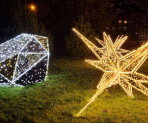Ogród Botaniczny po zmroku zamienia się w magiczny ogród [GALERIA]
