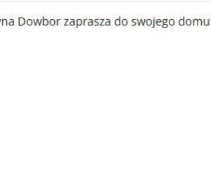 Gwiazdy dla WOŚP