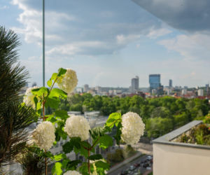 Damrota Garden - apartamentowiec w Katowicach z drzewami na fasadzie i dachu - czerwiec 2026