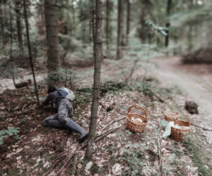 Rosną jak grzyby po deszczu! Grzybiarze szykują się na żniwa
