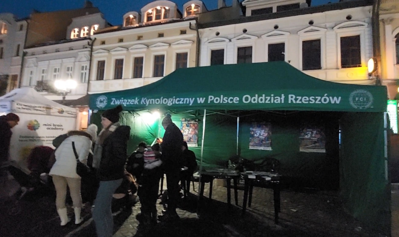 WOŚP w Rzeszowie [GALERIA]