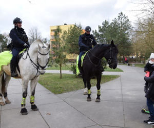 Patrole konne w Policach