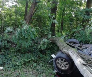 Dolny Śląsk: Samochód wypadł z drogi i dachował