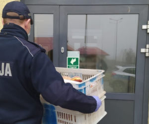 Miałem ochotę na coś słodkiego. Złodziej ukradł DWIE SKRZYNKI pączków spod sklepu