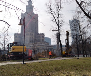 Wycinają drzewa obok Pałacu Kultury i Nauki