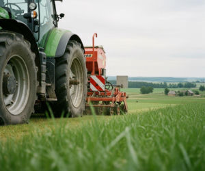 Podsiew łąki w 2026 roku