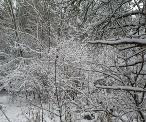 Atak zimy w Świętokrzyskiem. Śnieg i trudne warunki drogowe 23 Listopada 2025