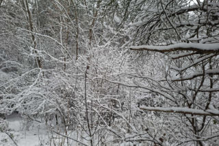 Atak zimy w Świętokrzyskiem. Śnieg i trudne warunki drogowe 23 Listopada 2025