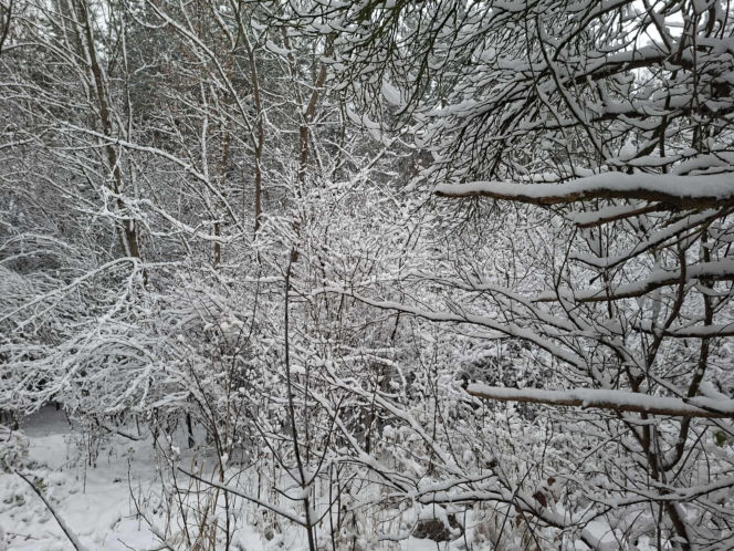 Atak zimy w Świętokrzyskiem. Śnieg i trudne warunki drogowe 23 Listopada 2025