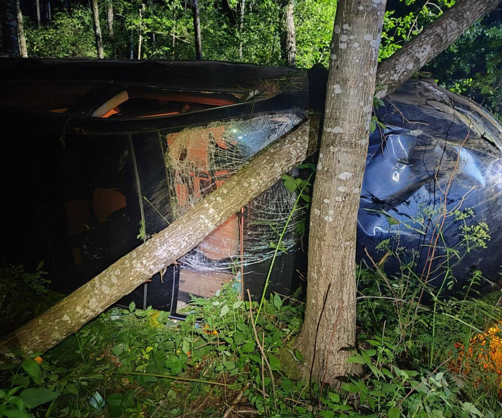 Czarny Volkswagen Passat leżący na dachu w zaroślach, po kolizji drogowej w Rzepinie. Rozbite szyby i uszkodzona karoseria pojazdu oraz połamane drzewo podkreślają powagę wypadku, o którym przeczytasz więcej na naszym portalu.
