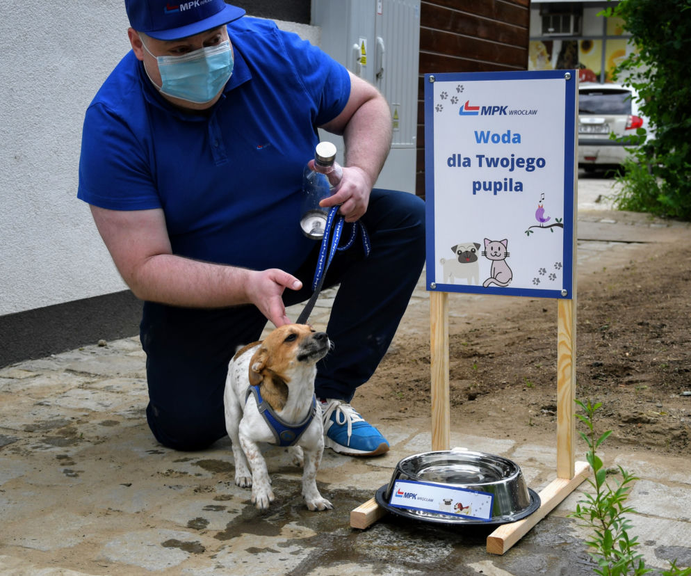 MPK Wrocław zapewni wodę zwierzętom