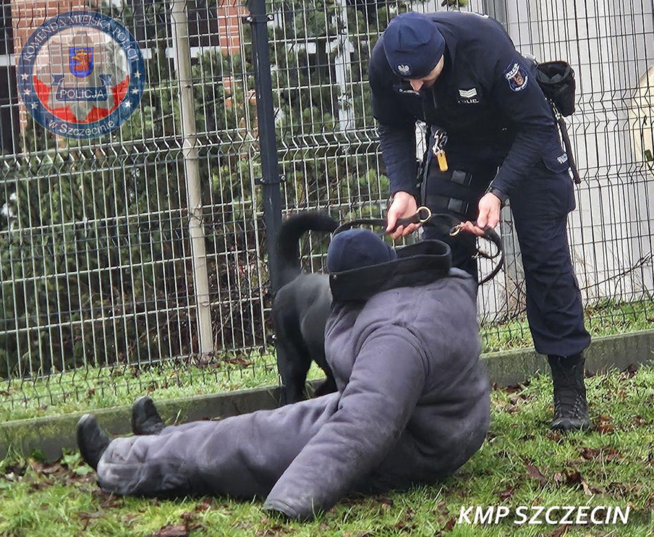 Nowe psy w zachodniopomorskiej policji