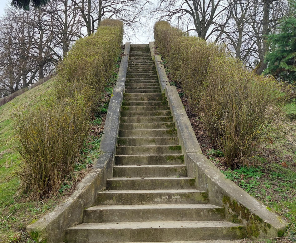 Zamość