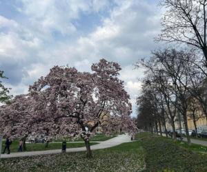 Zagrzeb dobrym wyborem na każdą porę roku