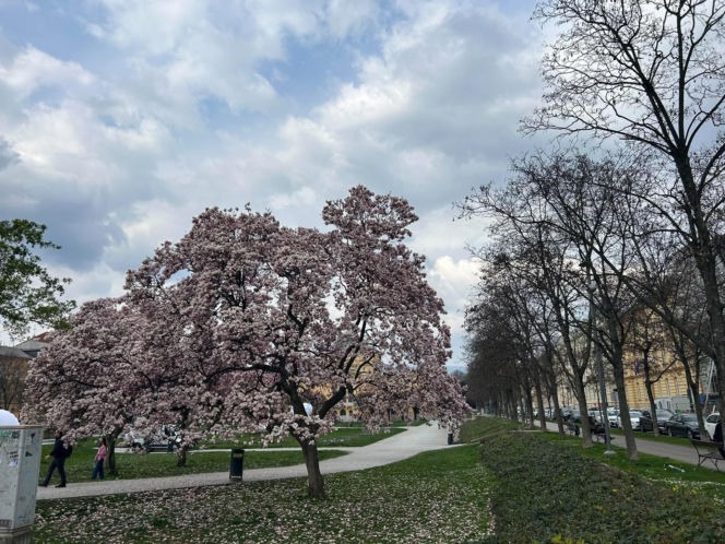 Zagrzeb dobrym wyborem na każdą porę roku