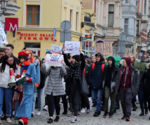 Młodzieżowy Strajk Klimatyczny w Toruniu