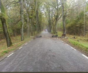 Jechał za szybko i przypłacił to życiem! Policja ujawnia: Licznik zatrzymał się na 180 km/h 