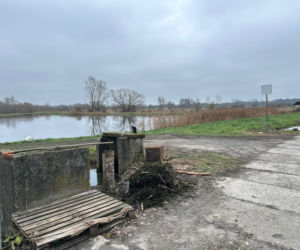 Karp z Rytwian na wigilijnym stole