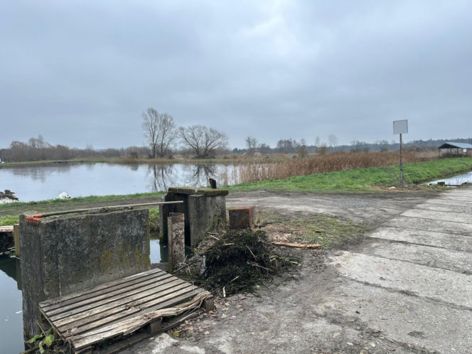 Karp z Rytwian na wigilijnym stole