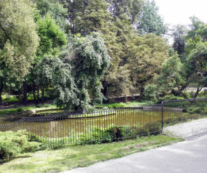 Ogród Saski