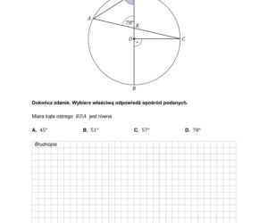 Próbna matura 2026: matematyka. Arkusze CKE, pytania i odpowiedzi  [5.03.2026]