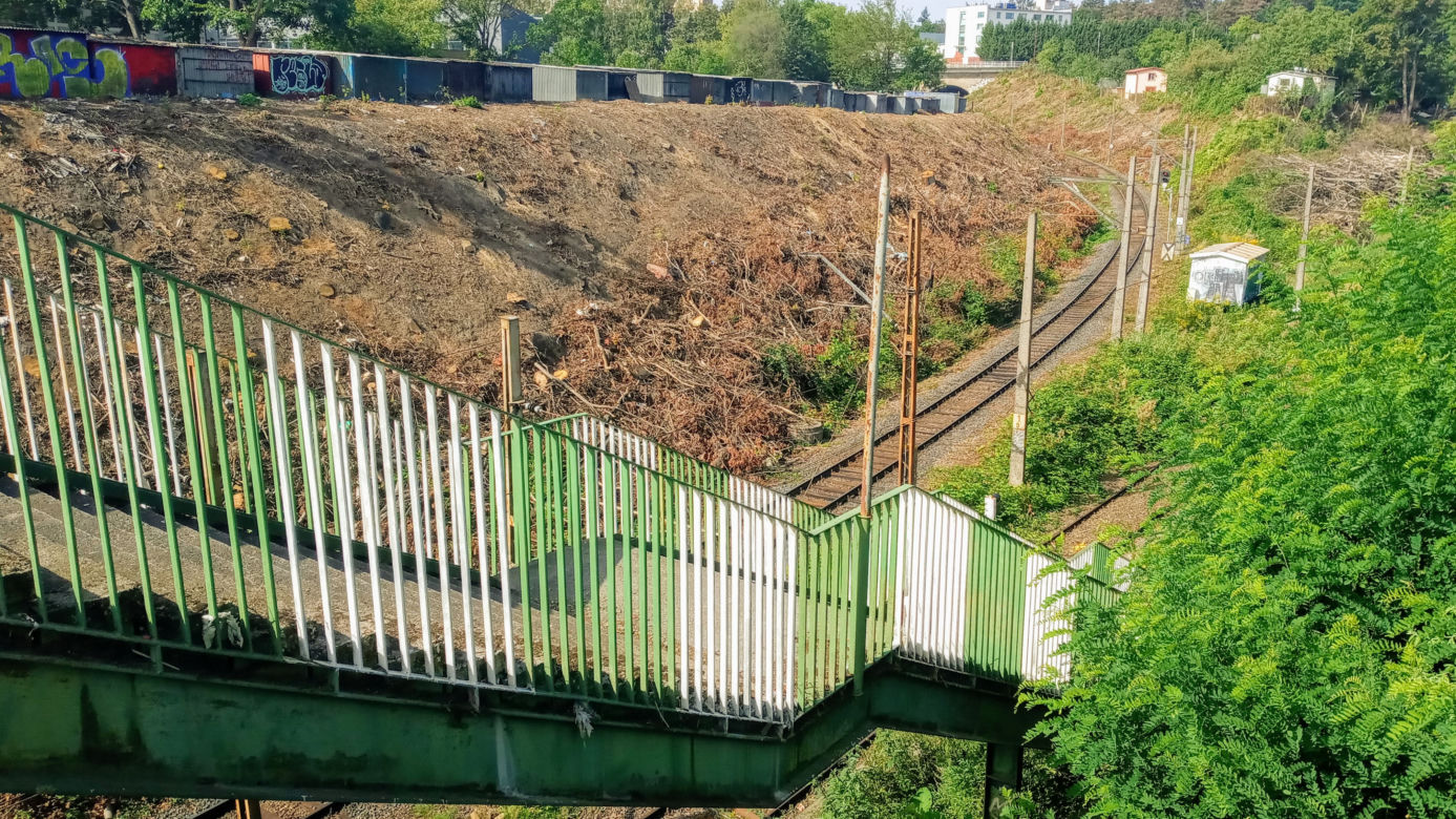 Wycinka drzew na stacji Szczecin Pomorzany