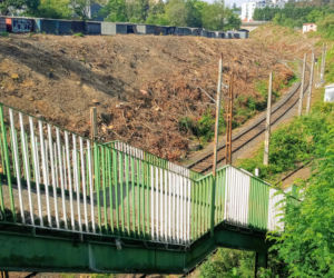 Wycinka drzew na stacji Szczecin Pomorzany