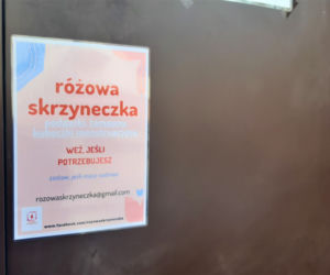 Tajemnicza różowa skrzyneczka. Zobacz, co jest w środku!