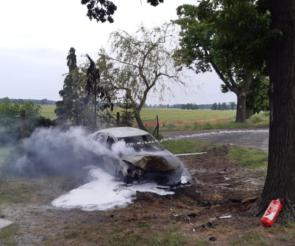 Samochód uderzył w drzewo i stanął w PŁOMIENIACH! Groźny wypadek w Błocku 