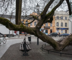 Polskie klony na europejskie salony