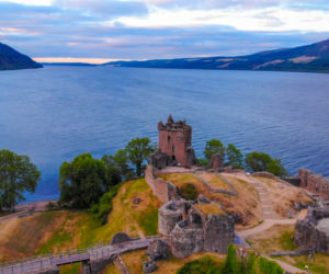 Potwór z Loch Ness jest żółwiem! Naukowcy ujawniają