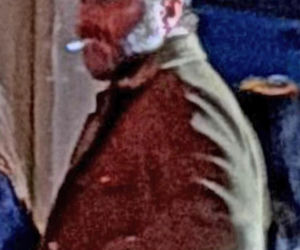 Kulisy premiery filmu DZIK