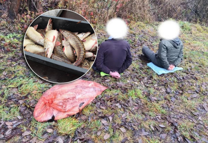 Afera nad jeziorem Bikcze. Wędkarze zgłosili się do pomocy, potem zabrali ryby