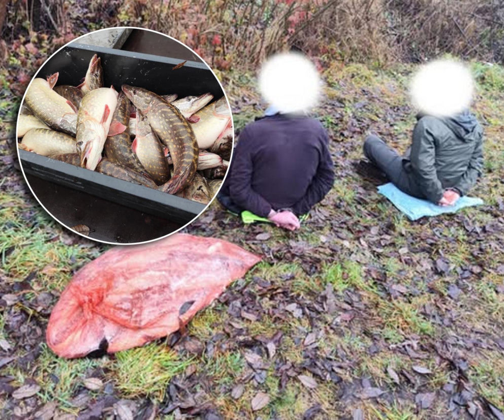 Afera nad jeziorem Bikcze. Wędkarze zgłosili się do pomocy, potem zabrali ryby