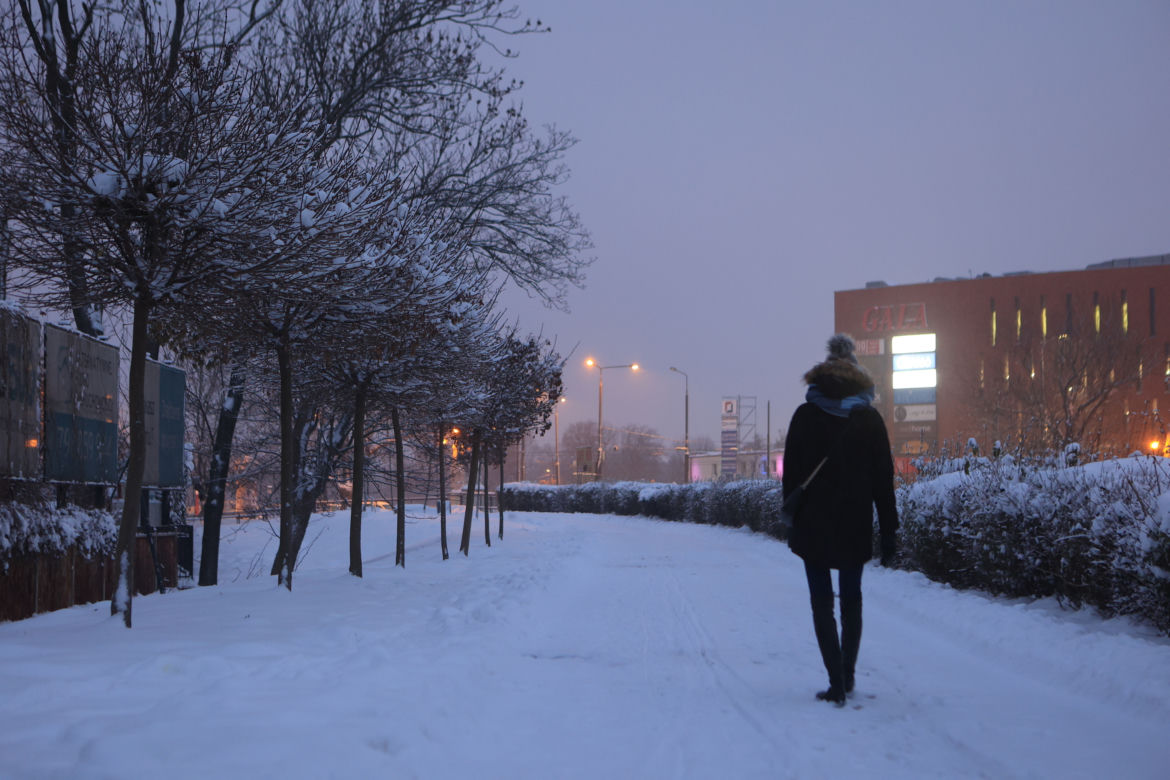 Drewniane rzeźby nad Bystrzycą w Lublinie okryły się białym puchem