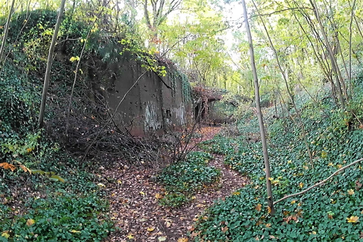 Tajemnicze ruiny na Cmentarzu Centralnym
