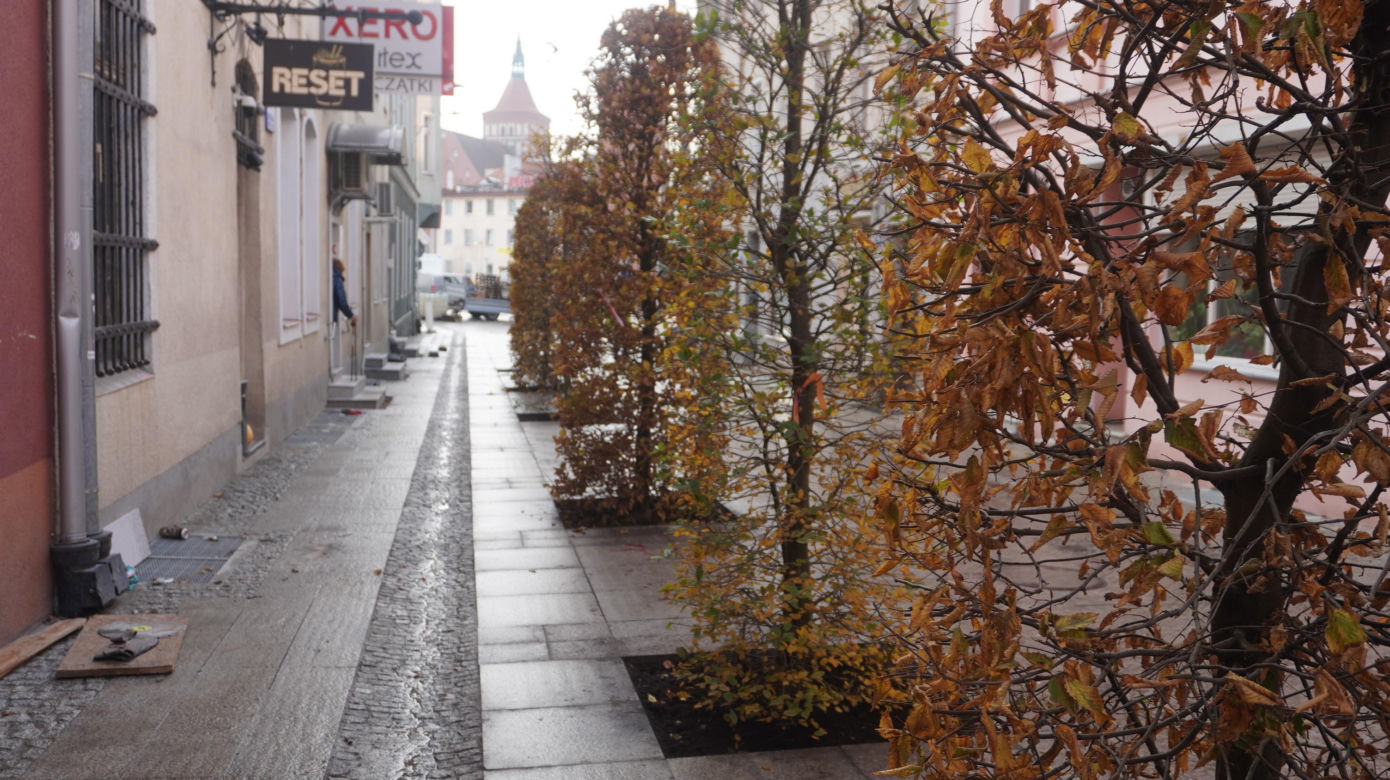 Alejka w centrum Olsztyna zmieniła się nie do poznania. Będzie najpiękniejsza w mieście? [ZDJĘCIA]