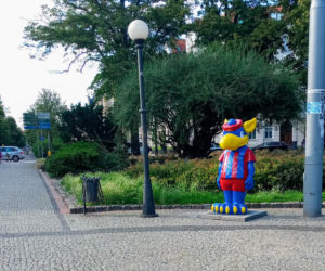 Gryfusy na ulicach Szczecina