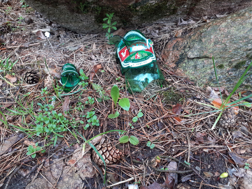 Czuwam dla Ziemi - akcja sprzątania uroczyska Sekuła przez harcerzy w Siedlcach 22.04.2021
