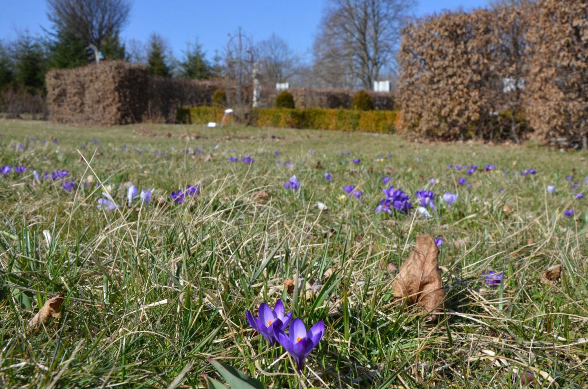 Ogród Botaniczny w Kielcach przed sezonem 2025