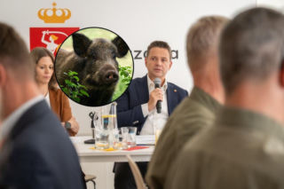 Twój samochód na celowniku dzika? Trzaskowski nie ma dobrych wieści