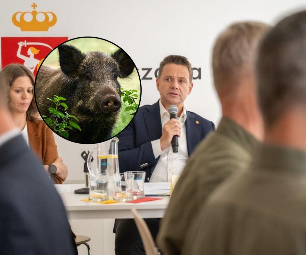 Dzik uszkodził ci samochód? Zaskakująca odpowiedź Rafała Trzaskowskiego w sprawie odszkodowań