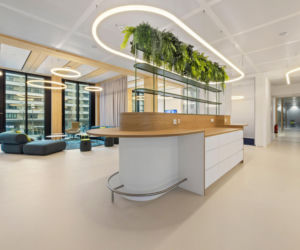 Timber Pioneer we Frankfurcie