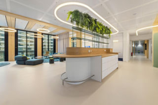 Timber Pioneer we Frankfurcie