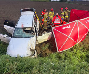 Sarna jak pocisk przebiła szybę auta i wpadła na twarz kierowcy. Pojazd dachował, serce 20-latka stanęło