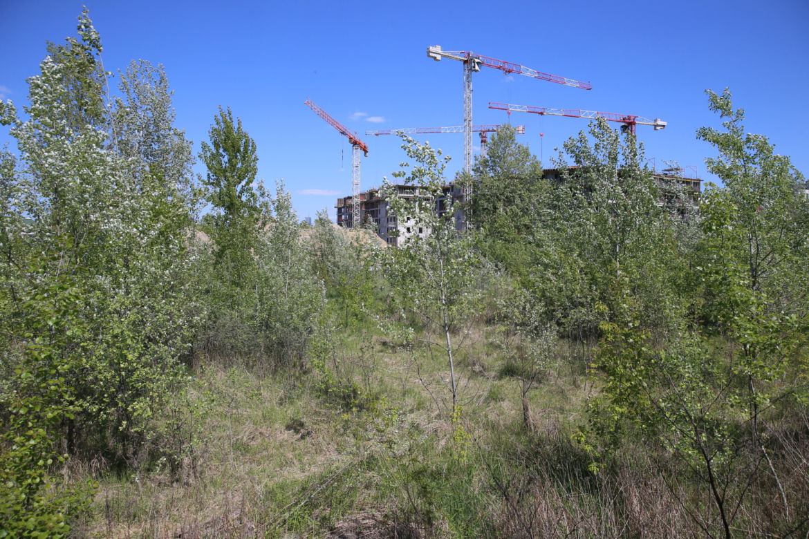 Mieszkańcy chcą tu park, nie kolejny blok. Awantura o działkę we Włochach