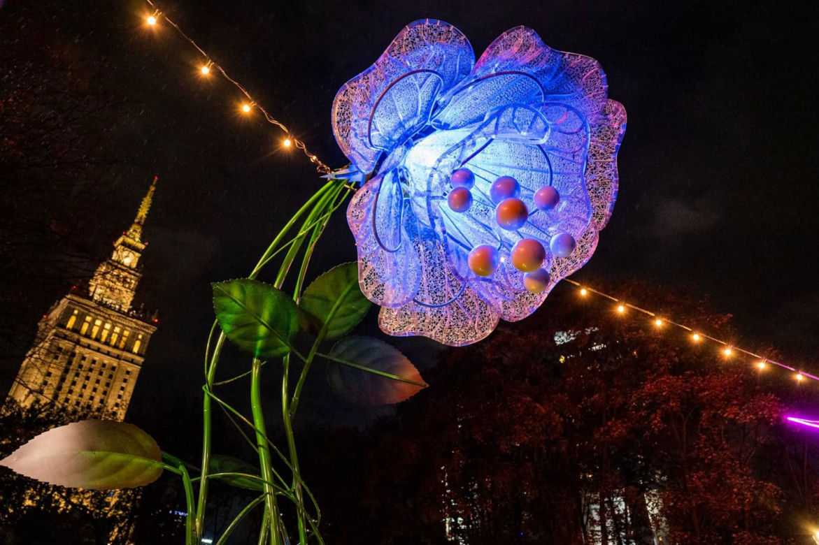 Iluminacja w Parku Świętokrzyskim. Wygląda pięknie