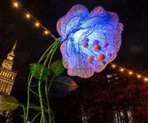 Iluminacja w Parku Świętokrzyskim. Wygląda pięknie