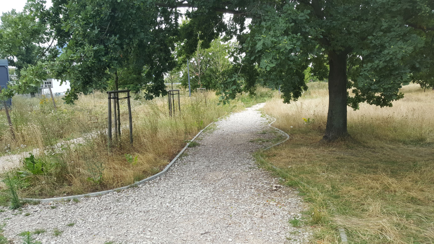 Remont w Parku Zachodnim