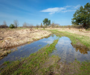 Astronomiczna wiosna 2026. Data i godzina